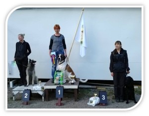 toko_alo_mitalistit_150913