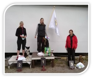 toko_evl_mitalistit_150913