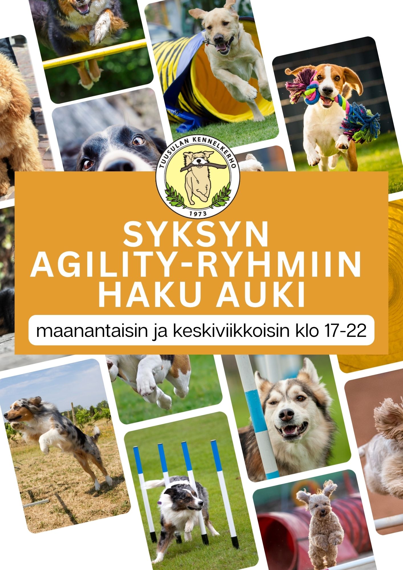 Syksyn 2026 agilityn ryhmähaku auki